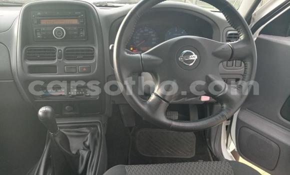 Buy Used Nissan NP 300 White Car in Maseru in Maseru Buy Used Nissan NP 300 White Car in Maseru in Maseru