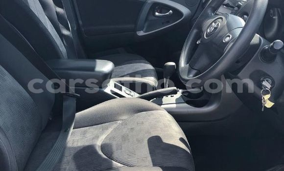 اشتري مستعمل Toyota RAV4 White سيارة في Maseru في Maseru اشتري مستعمل Toyota RAV4 White سيارة في Maseru في Maseru