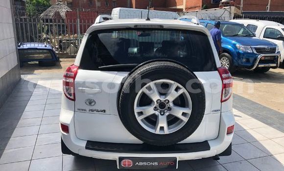 اشتري مستعمل Toyota RAV4 White سيارة في Maseru في Maseru اشتري مستعمل Toyota RAV4 White سيارة في Maseru في Maseru