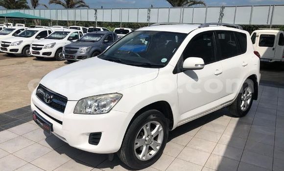 اشتري مستعمل Toyota RAV4 White سيارة في Maseru في Maseru اشتري مستعمل Toyota RAV4 White سيارة في Maseru في Maseru