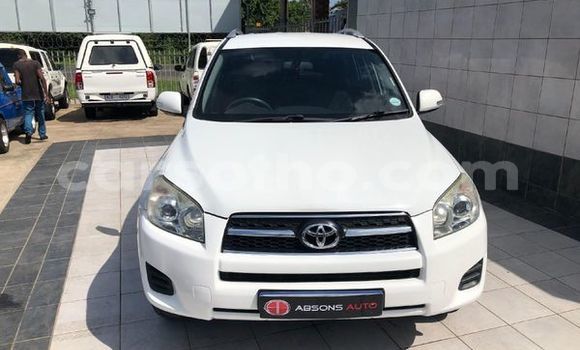 اشتري مستعمل Toyota RAV4 White سيارة في Maseru في Maseru اشتري مستعمل Toyota RAV4 White سيارة في Maseru في Maseru