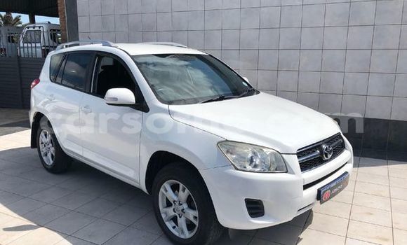 اشتري مستعمل Toyota RAV4 White سيارة في Maseru في Maseru اشتري مستعمل Toyota RAV4 White سيارة في Maseru في Maseru