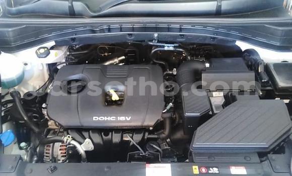 Sayi Na hannu Kia Sportage White Mota in Maseru a Maseru Sayi Na hannu Kia Sportage White Mota in Maseru a Maseru