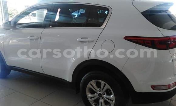 Sayi Na hannu Kia Sportage White Mota in Maseru a Maseru Sayi Na hannu Kia Sportage White Mota in Maseru a Maseru