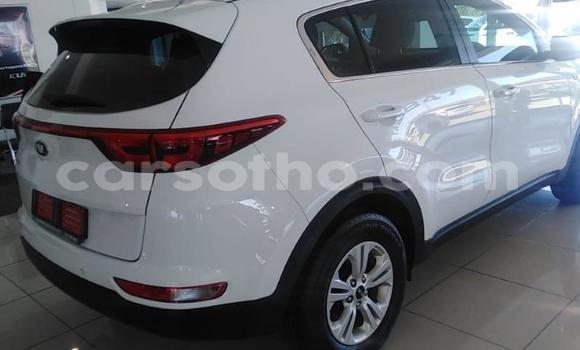Sayi Na hannu Kia Sportage White Mota in Maseru a Maseru Sayi Na hannu Kia Sportage White Mota in Maseru a Maseru