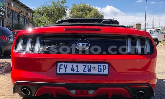 Acheter Occasion Voiture Ford Mustang Rouge à Maseru, Maseru Acheter Occasion Voiture Ford Mustang Rouge à Maseru, Maseru