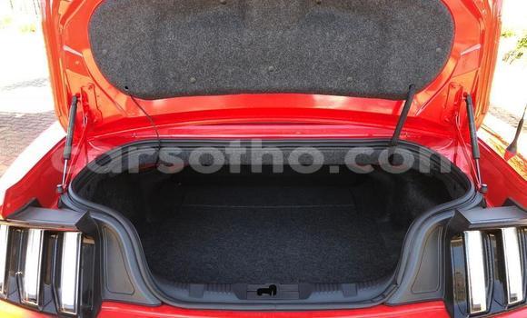 Acheter Occasion Voiture Ford Mustang Rouge à Maseru, Maseru Acheter Occasion Voiture Ford Mustang Rouge à Maseru, Maseru