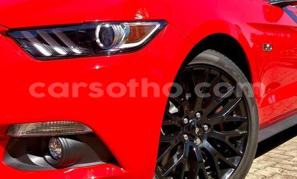 Acheter Occasion Voiture Ford Mustang Rouge à Maseru, Maseru Acheter Occasion Voiture Ford Mustang Rouge à Maseru, Maseru
