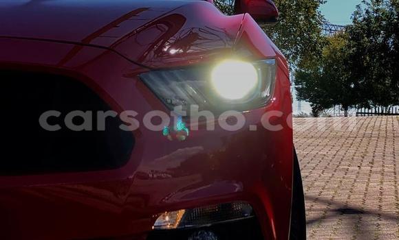 Acheter Occasion Voiture Ford Mustang Rouge à Maseru, Maseru Acheter Occasion Voiture Ford Mustang Rouge à Maseru, Maseru