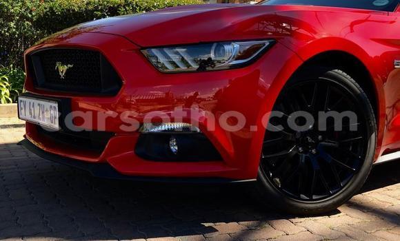 Acheter Occasion Voiture Ford Mustang Rouge à Maseru, Maseru Acheter Occasion Voiture Ford Mustang Rouge à Maseru, Maseru