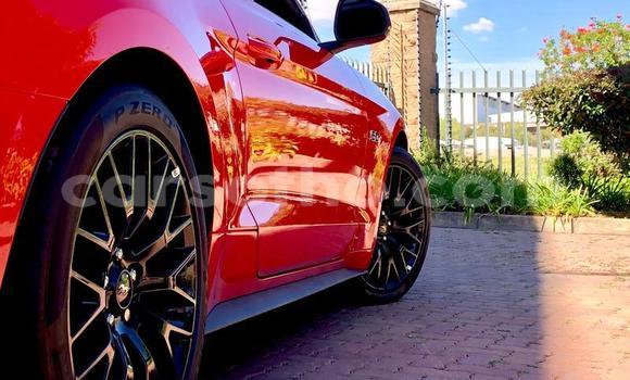 Acheter Occasion Voiture Ford Mustang Rouge à Maseru, Maseru Acheter Occasion Voiture Ford Mustang Rouge à Maseru, Maseru