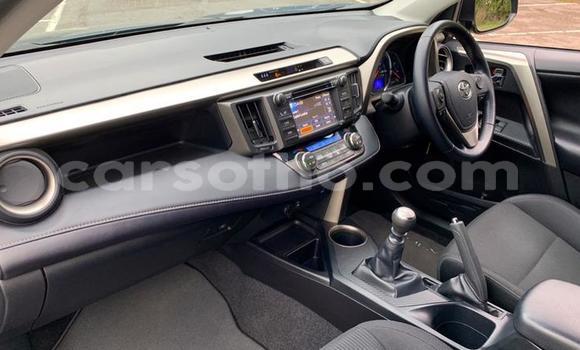 Buy Used Toyota RAV4 Blue Car in Qacha's Nek in Quthing Buy Used Toyota RAV4 Blue Car in Qacha's Nek in Quthing