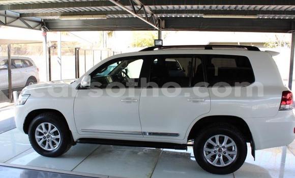 Acheter Occasion Voiture Toyota Land Cruiser Prado Blanc à Maseru, Maseru Acheter Occasion Voiture Toyota Land Cruiser Prado Blanc à Maseru, Maseru