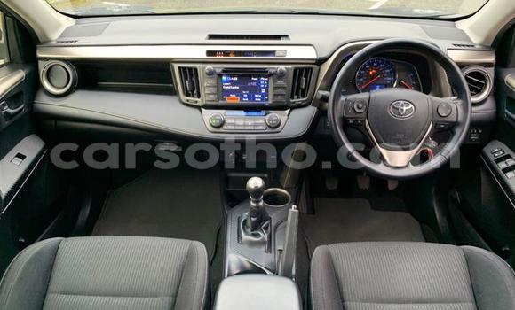 Buy Used Toyota RAV4 Blue Car in Qacha's Nek in Quthing Buy Used Toyota RAV4 Blue Car in Qacha's Nek in Quthing