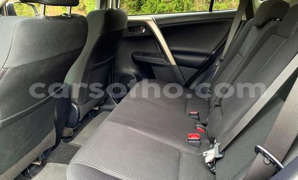 Buy Used Toyota RAV4 Blue Car in Qacha's Nek in Quthing Buy Used Toyota RAV4 Blue Car in Qacha's Nek in Quthing