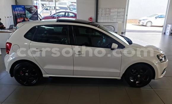 Buy Used Volkswagen Polo GTI White Car in Maseru in Maseru Buy Used Volkswagen Polo GTI White Car in Maseru in Maseru