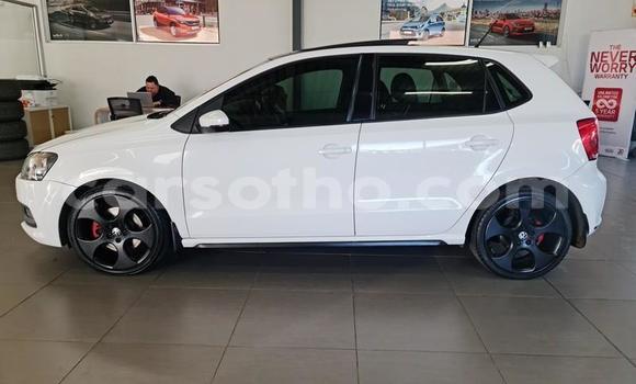 Buy Used Volkswagen Polo GTI White Car in Maseru in Maseru Buy Used Volkswagen Polo GTI White Car in Maseru in Maseru