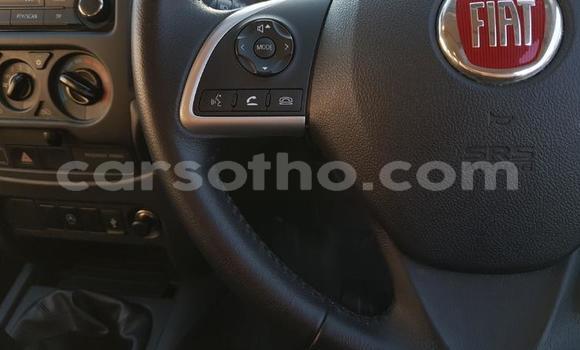 Buy Used Fiat Fullback Other Car in Mokhotlong in Berea Buy Used Fiat Fullback Other Car in Mokhotlong in Berea