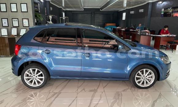اشتري مستعمل Volkswagen Polo Blue سيارة في Maputsoa في Leribe اشتري مستعمل Volkswagen Polo Blue سيارة في Maputsoa في Leribe
