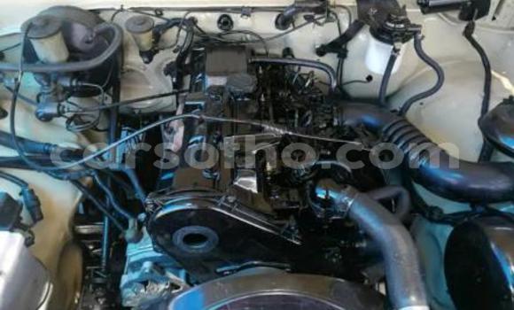 Acheter Occasion Voiture Toyota Hilux Blanc à Maseru, Maseru Acheter Occasion Voiture Toyota Hilux Blanc à Maseru, Maseru