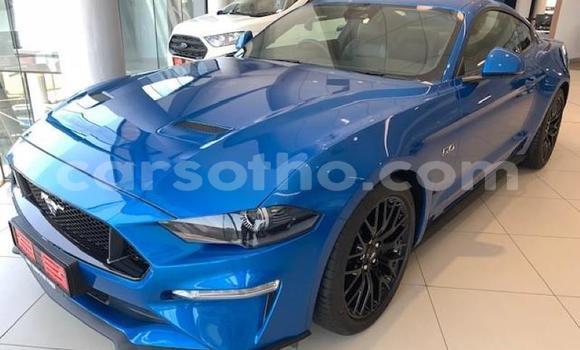 Sayi Na hannu FORD MUSTANG Blue Mota in Hlotse a Leribe Sayi Na hannu FORD MUSTANG Blue Mota in Hlotse a Leribe