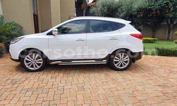 Sayi Na hannu Hyundai ix35 White Mota in Maseru a Maseru Sayi Na hannu Hyundai ix35 White Mota in Maseru a Maseru