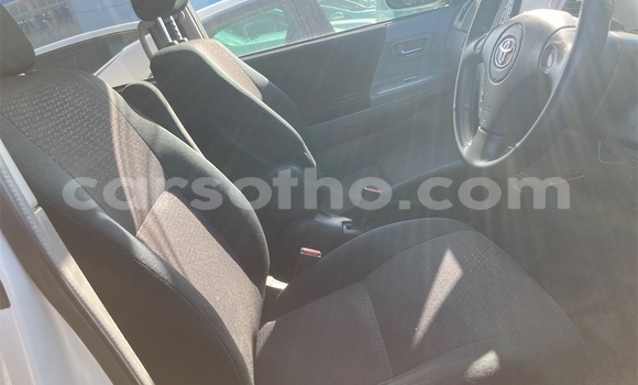 اشتري مستعمل Toyota Noah Silver سيارة في Maseru في Maseru اشتري مستعمل Toyota Noah Silver سيارة في Maseru في Maseru