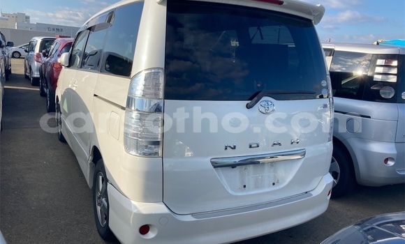 اشتري مستعمل Toyota Noah Silver سيارة في Maseru في Maseru اشتري مستعمل Toyota Noah Silver سيارة في Maseru في Maseru
