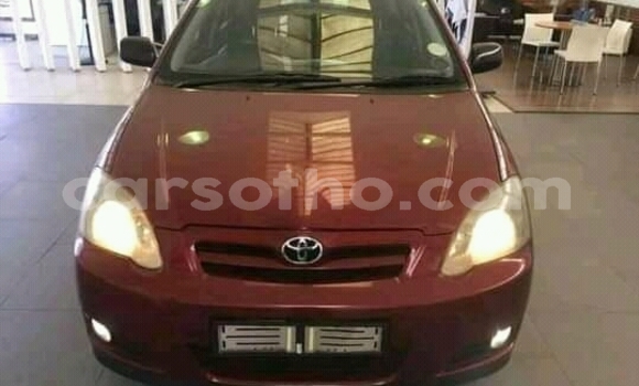 اشتري مستعمل Toyota Runx Other سيارة في Maseru في Maseru اشتري مستعمل Toyota Runx Other سيارة في Maseru في Maseru