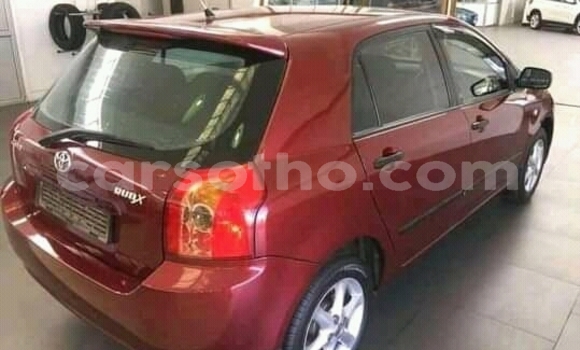 اشتري مستعمل Toyota Runx Other سيارة في Maseru في Maseru اشتري مستعمل Toyota Runx Other سيارة في Maseru في Maseru