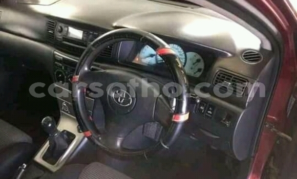 اشتري مستعمل Toyota Runx Other سيارة في Maseru في Maseru اشتري مستعمل Toyota Runx Other سيارة في Maseru في Maseru