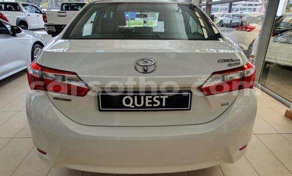 Acheter Occasion Voiture Toyota Corolla Blanc à Maseru, Maseru Acheter Occasion Voiture Toyota Corolla Blanc à Maseru, Maseru