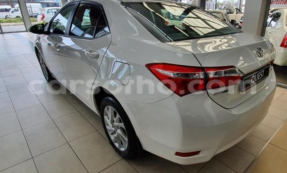 Acheter Occasion Voiture Toyota Corolla Blanc à Maseru, Maseru Acheter Occasion Voiture Toyota Corolla Blanc à Maseru, Maseru