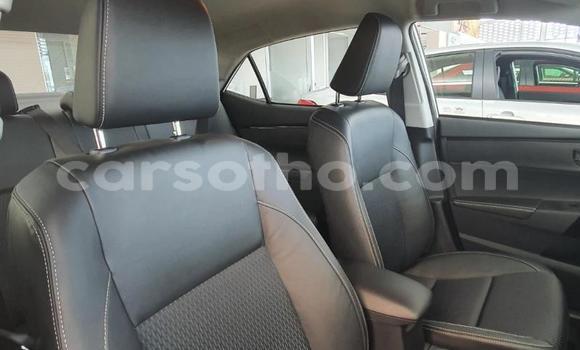 Acheter Occasion Voiture Toyota Corolla Blanc à Maseru, Maseru Acheter Occasion Voiture Toyota Corolla Blanc à Maseru, Maseru