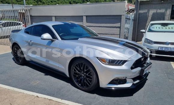 Buy Used Ford Mustang Silver Car in Maseru in Maseru Buy Used Ford Mustang Silver Car in Maseru in Maseru