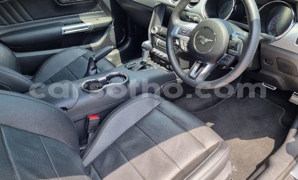 Buy Used Ford Mustang Silver Car in Maseru in Maseru Buy Used Ford Mustang Silver Car in Maseru in Maseru
