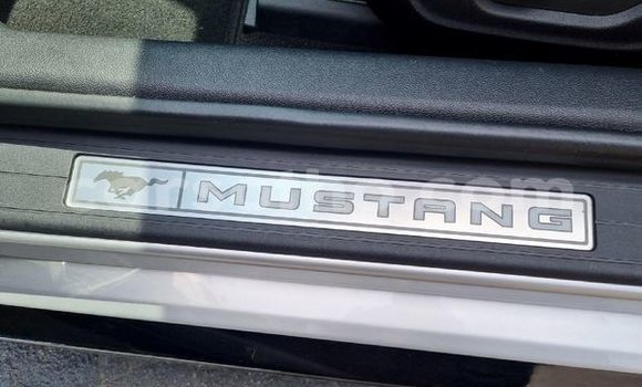 Buy Used Ford Mustang Silver Car in Maseru in Maseru Buy Used Ford Mustang Silver Car in Maseru in Maseru