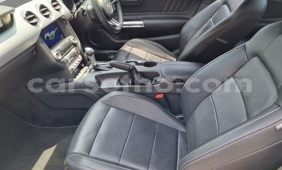 Buy Used Ford Mustang Silver Car in Maseru in Maseru Buy Used Ford Mustang Silver Car in Maseru in Maseru