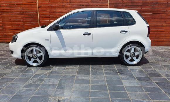 Buy Used Volkswagen Polo White Car in Hlotse in Leribe Buy Used Volkswagen Polo White Car in Hlotse in Leribe
