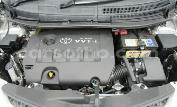 اشتري مستعمل Toyota IST Silver سيارة في Maseru في Maseru اشتري مستعمل Toyota IST Silver سيارة في Maseru في Maseru