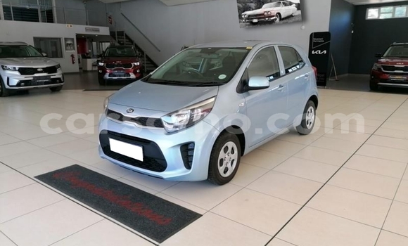 Buy Used Kia Picanto Blue Car in Butha Buthe in Butha-Buthe Buy Used Kia Picanto Blue Car in Butha Buthe in Butha-Buthe