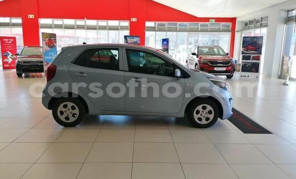 Buy Used Kia Picanto Blue Car in Butha Buthe in Butha-Buthe Buy Used Kia Picanto Blue Car in Butha Buthe in Butha-Buthe