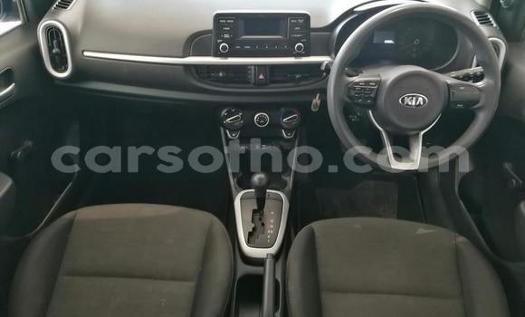 Buy Used Kia Picanto Blue Car in Butha Buthe in Butha-Buthe Buy Used Kia Picanto Blue Car in Butha Buthe in Butha-Buthe