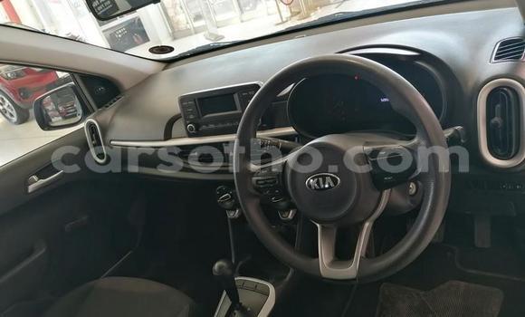 Buy Used Kia Picanto Blue Car in Butha Buthe in Butha-Buthe Buy Used Kia Picanto Blue Car in Butha Buthe in Butha-Buthe