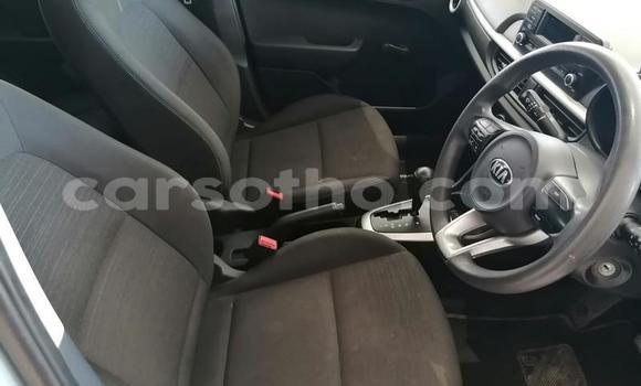 Buy Used Kia Picanto Blue Car in Butha Buthe in Butha-Buthe Buy Used Kia Picanto Blue Car in Butha Buthe in Butha-Buthe