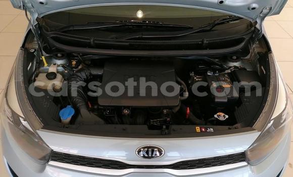 Buy Used Kia Picanto Blue Car in Butha Buthe in Butha-Buthe Buy Used Kia Picanto Blue Car in Butha Buthe in Butha-Buthe