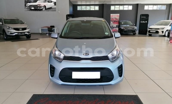 Buy Used Kia Picanto Blue Car in Butha Buthe in Butha-Buthe Buy Used Kia Picanto Blue Car in Butha Buthe in Butha-Buthe