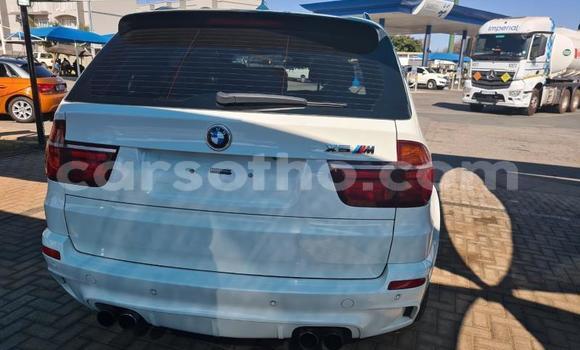 اشتري مستعمل BMW X5 White سيارة في Butha Buthe في Butha-Buthe اشتري مستعمل BMW X5 White سيارة في Butha Buthe في Butha-Buthe