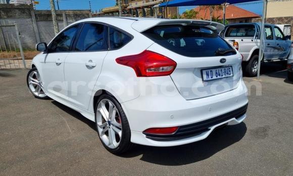 اشتري مستعمل Ford Focus ST White سيارة في Thaba–Tseka في Mafeteng اشتري مستعمل Ford Focus ST White سيارة في Thaba–Tseka في Mafeteng
