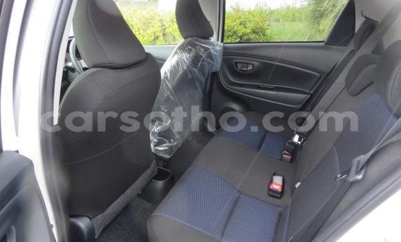 اشتري مستعمل Toyota Vitz White سيارة في Butha–Buthe في Thaba-Tseka اشتري مستعمل Toyota Vitz White سيارة في Butha–Buthe في Thaba-Tseka